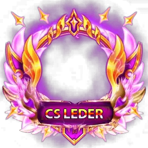 1777595624741Csleader preview